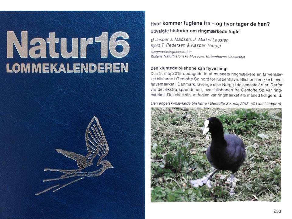 Forsiden og opslag i Naturkalenderen 2016.